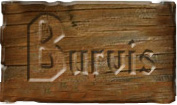 Pirts Burvis