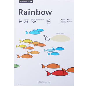 *Krāsains papīrs Rainbow 93 gaiši pelēka A4 100loksnes,  80g/